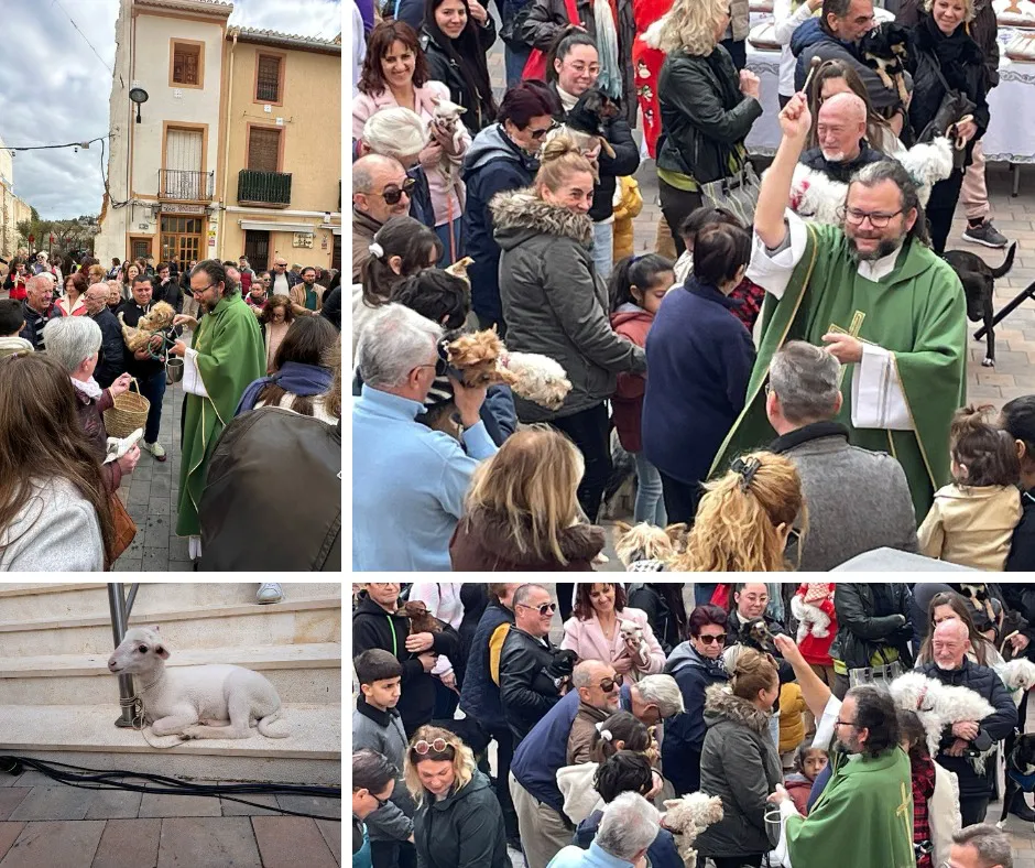 FIESTA DE SAN ANTONIO BUSOT 2024 MISA 2