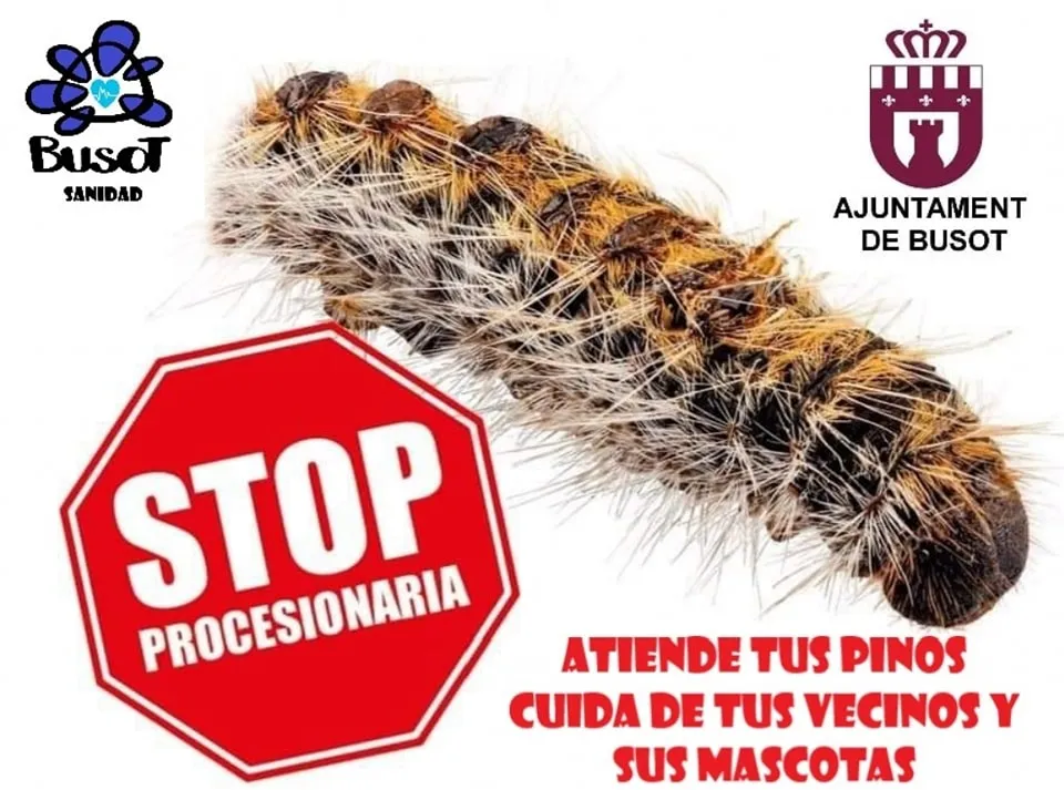 PROCESIONARIA BUSOT CARTEL